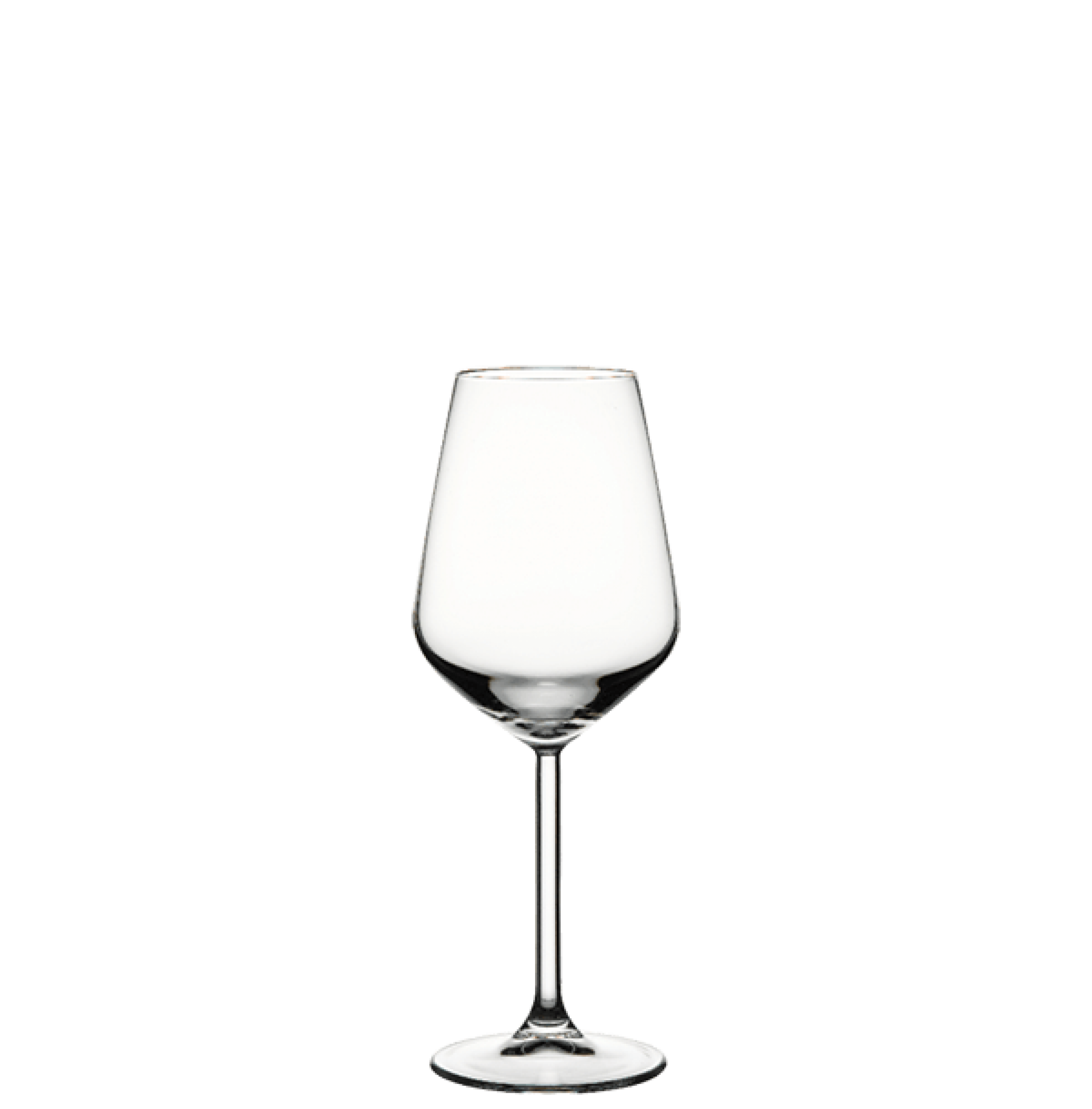ALLEGRA 440080 - BEYAZ ŞARAP