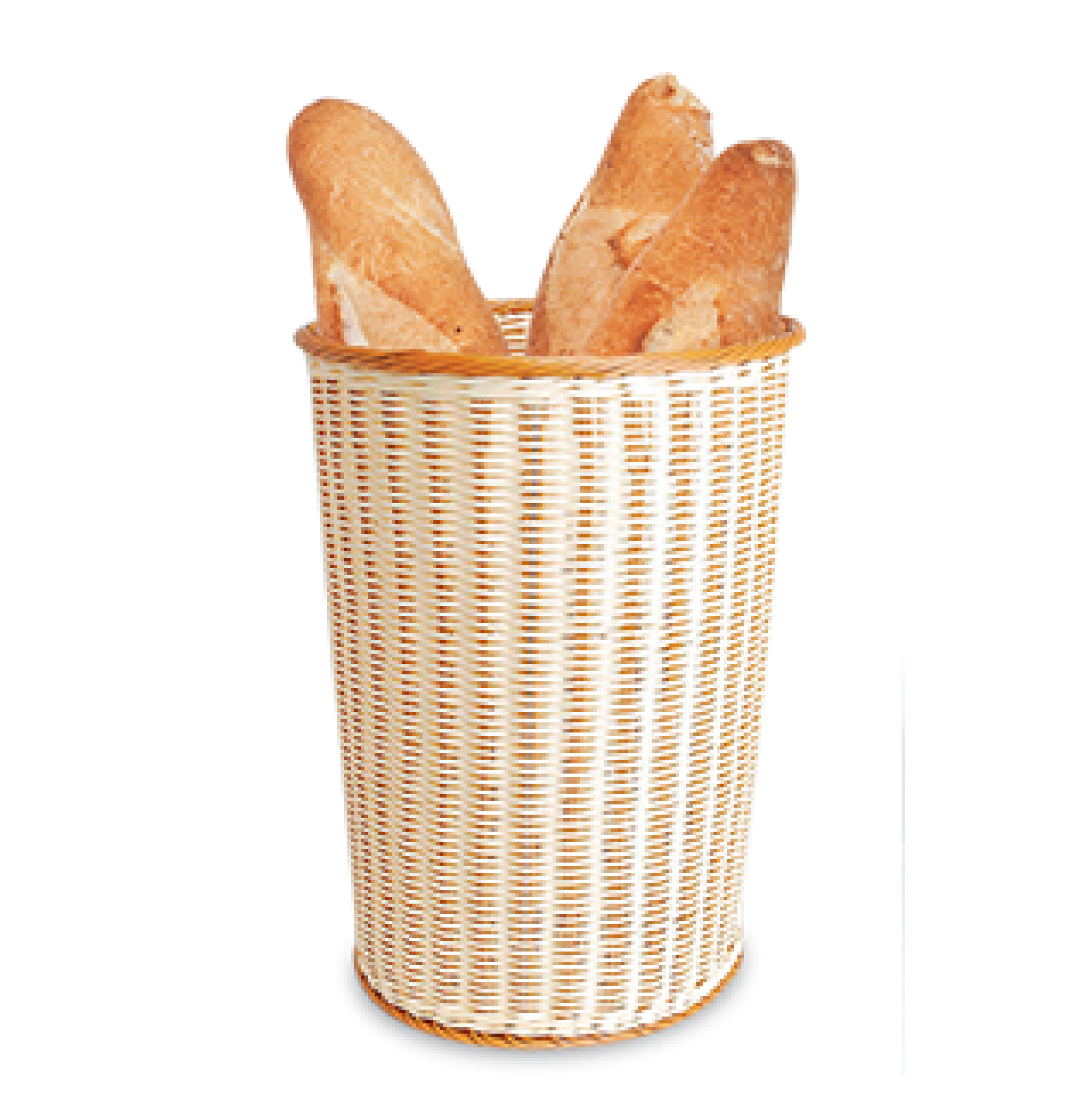 Baget